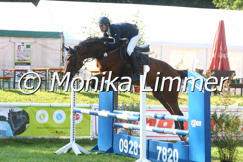 308M9317_Quebec_Springpferde A.JPG